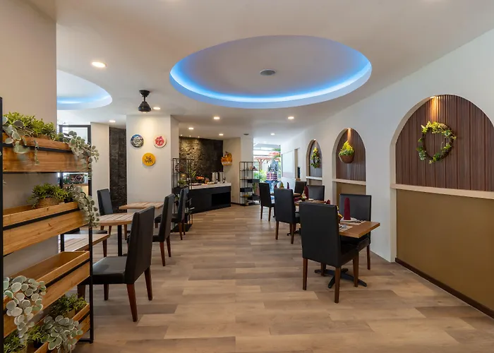 Hotel Everyday 3*